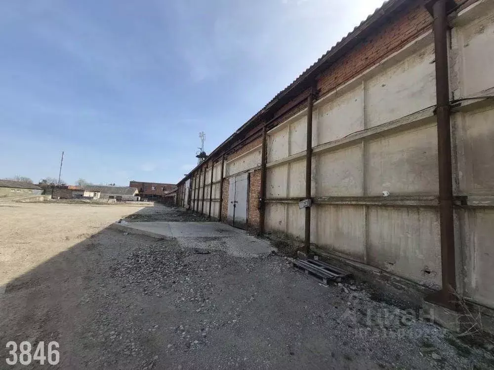 Производственное помещение в Краснодарский край, Северская ст-ца ул. ... - Фото 1