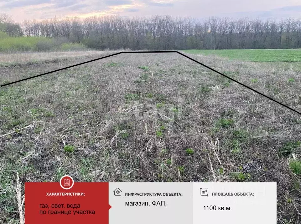 Участок в Белгородская область, с. Богородицкое ул. Центральная (11.0 ... - Фото 2