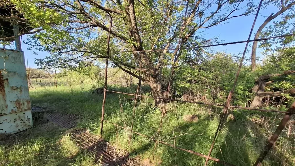 Дом в Ростовская область, Родионово-Несветайский район, Кутейниковское ... - Фото 0