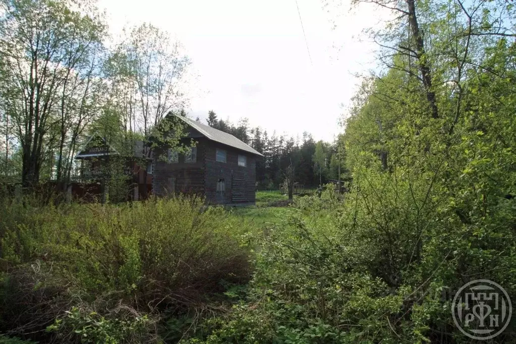 Участок в Ленинградская область, Выборг пер. Пограничный, 2Б (9.0 ... - Фото 1