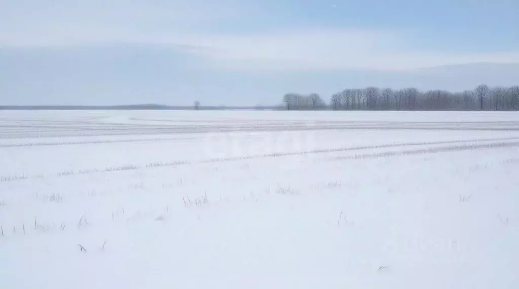 Участок в Тульская область, Новомосковск Сокольники мкр,  (13.1 сот.) - Фото 2
