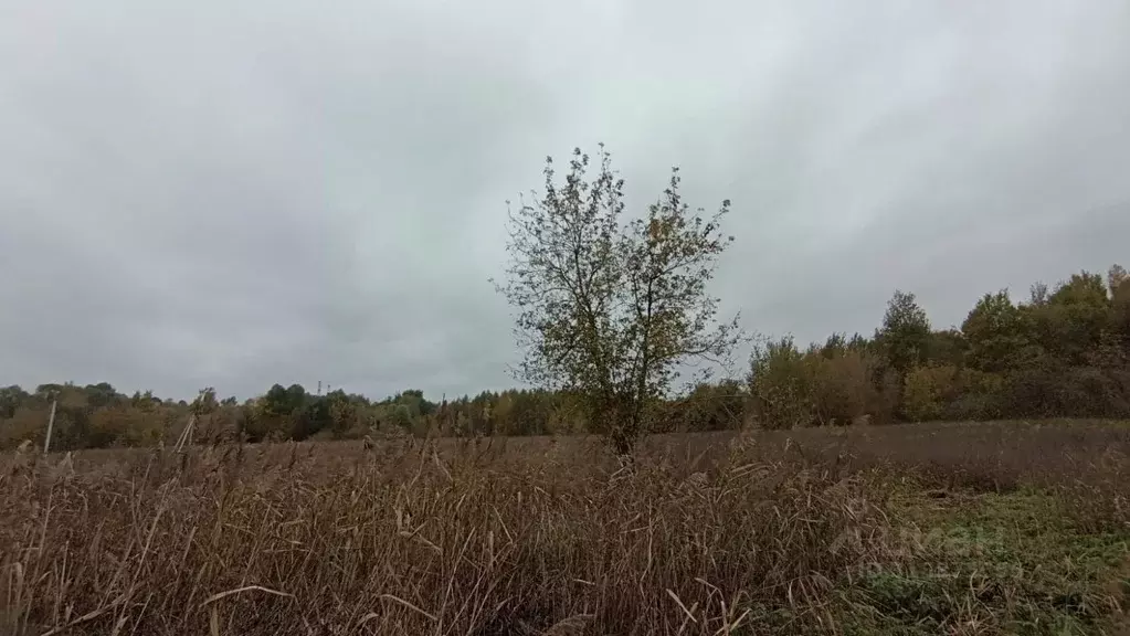 Участок в Московская область, Шатура  (30.0 сот.) - Фото 0