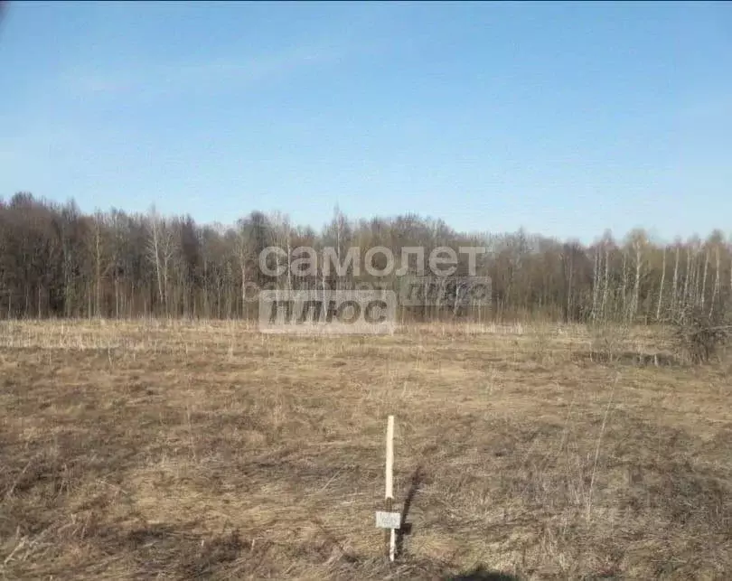 Участок в Калужская область, Калуга городской округ, д. Лихун ул. ... - Фото 2