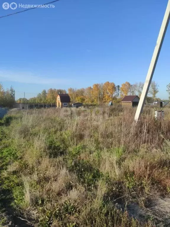 Участок в Новосибирский район, Морской сельсовет, село Ленинское (5 м) - Фото 0