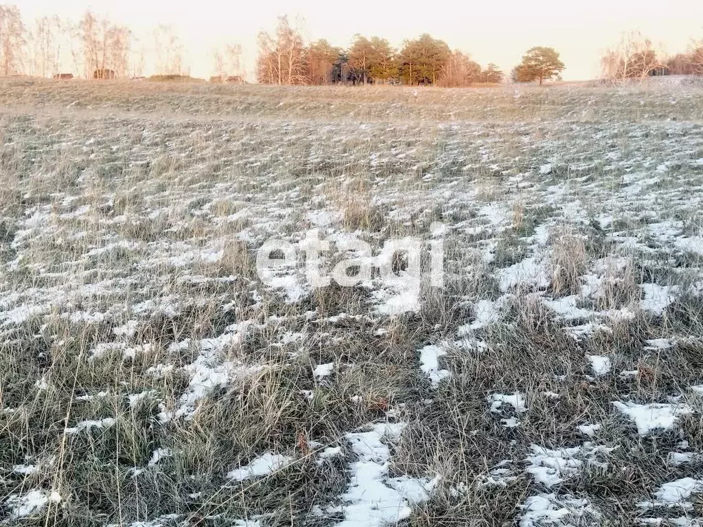 Участок в Красноярский край, Емельяновский муниципальный округ, с. ... - Фото 1