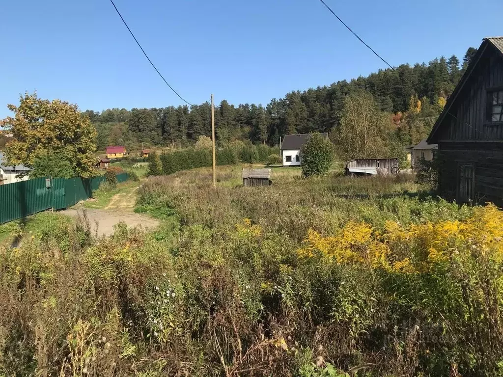 Участок в Карелия, Лахденпохский муниципальный округ, пос. Куркиеки ... - Фото 2