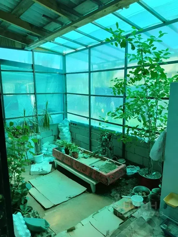 Дом в Волгоградская область, Светлый Яр рп ул. Советская, 218 (79 м) - Фото 2