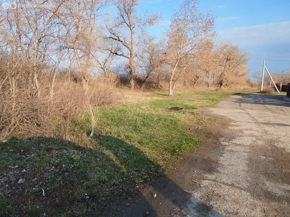 Участок в Среднеахтубинский район, Кировское сельское поселение, хутор ... - Фото 1