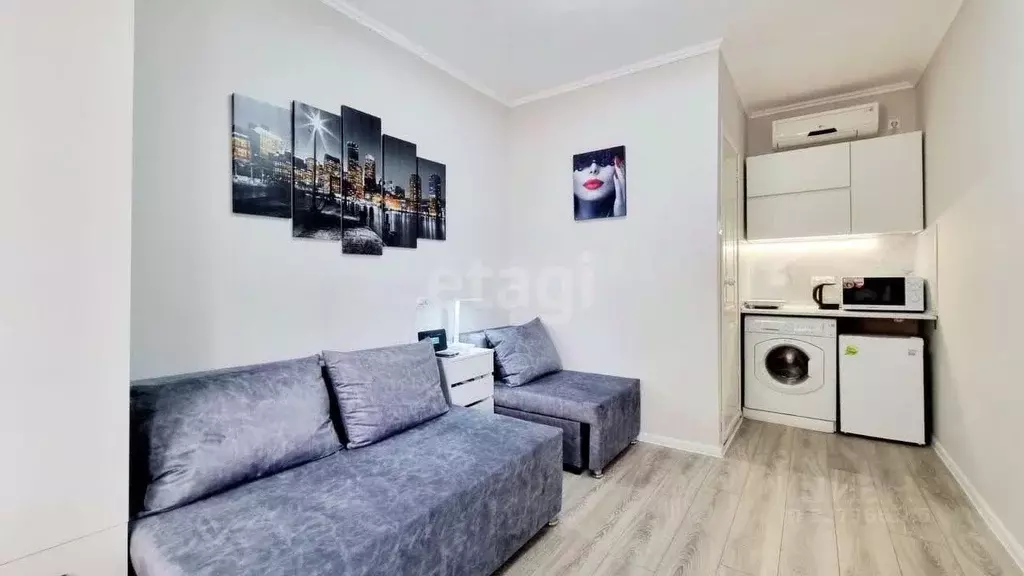 Студия Краснодарский край, Анапа муниципальный округ, с. Витязево ул. ... - Фото 1