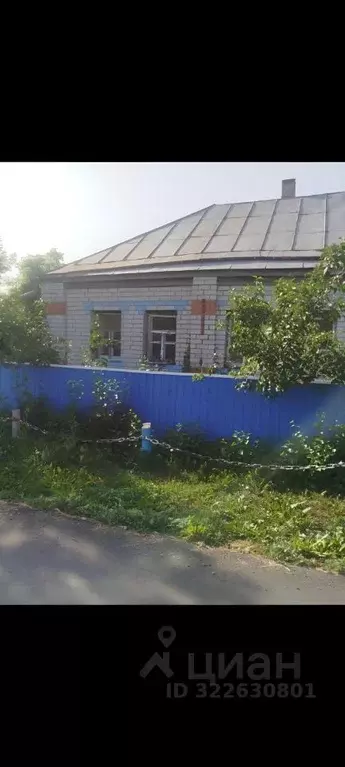 Дом в Воронежская область, Нижнедевицкий район, Першинское с/пос, с. ... - Фото 2