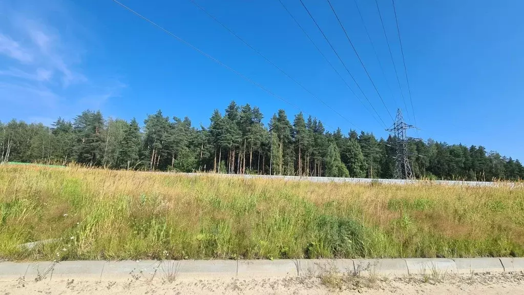 Участок в Ленинградская область, Всеволожский район, Колтушское ... - Фото 1