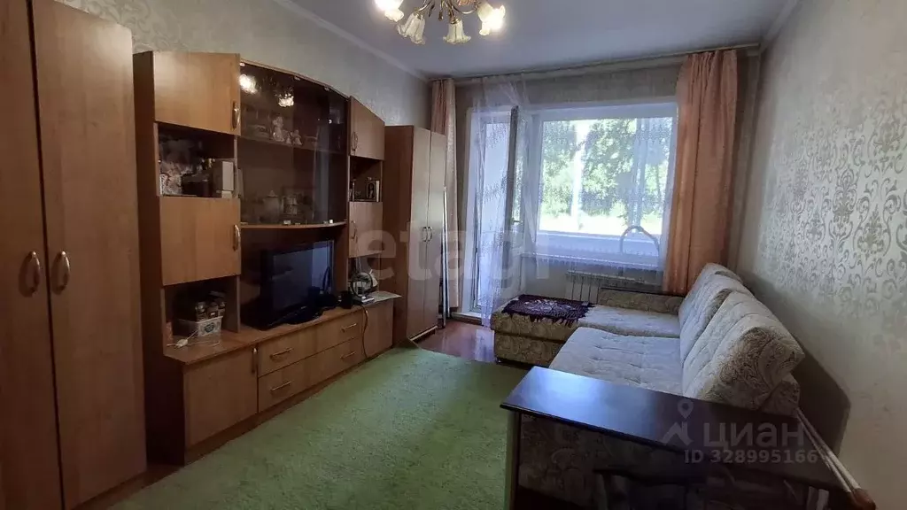 1-к кв. Алтай, Горно-Алтайск Алтайская ул. (30.6 м) - Фото 1