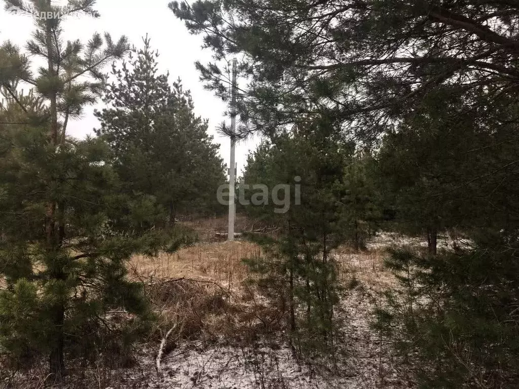 Участок в Воронежская область, село Новая Усмань (7.1 м), Купить земельный  участок Новая Усмань, Новоусманский район, ID объекта - 20007070106