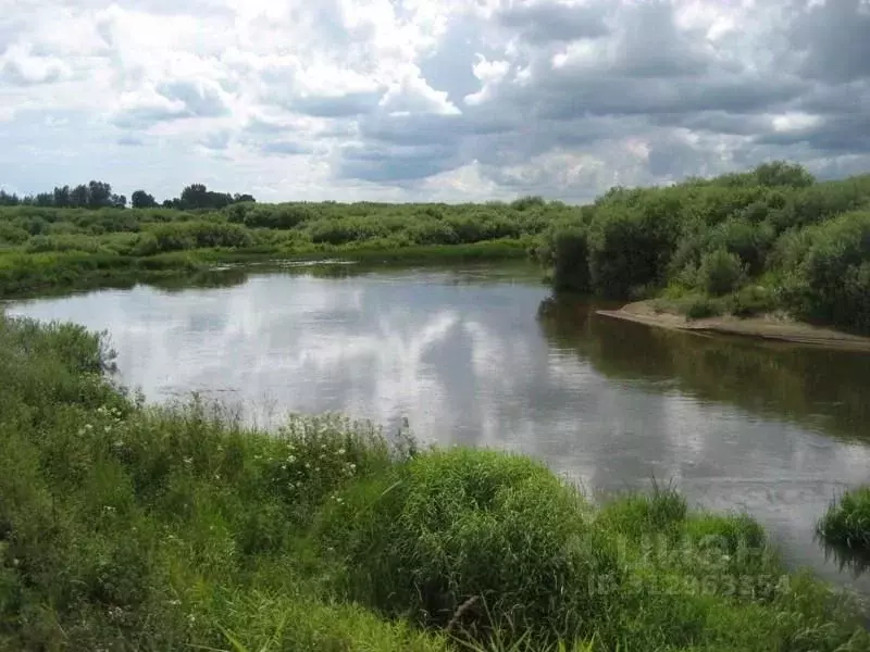Участок в Псковская область, Пушкиногорье городское поселение, д. ... - Фото 1