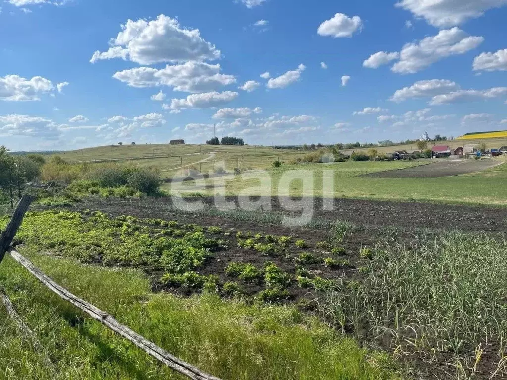 Участок в Белгородская область, Алексеевский городской округ, с. ... - Фото 1