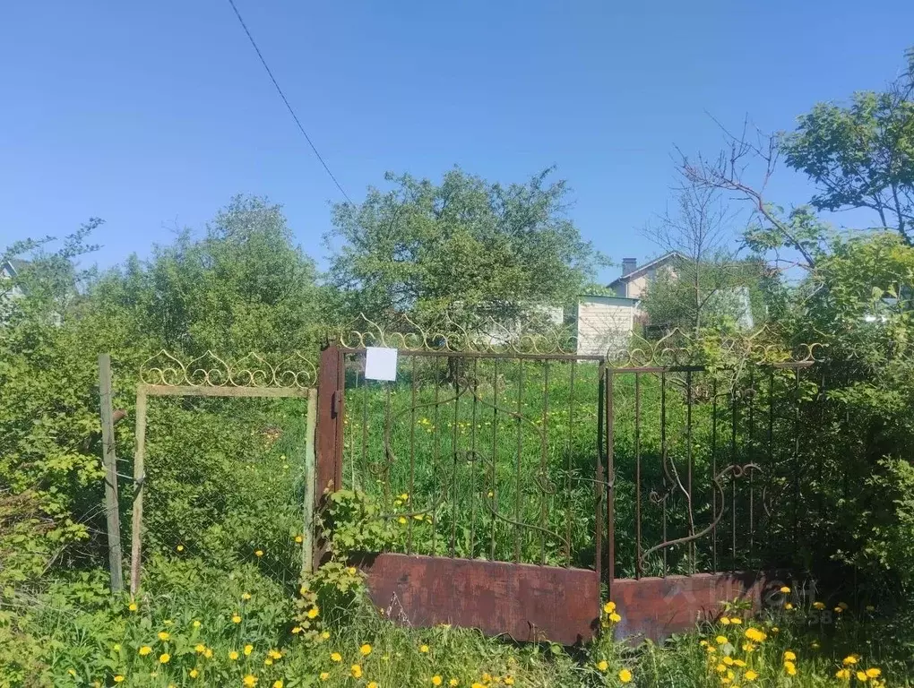 Участок в Московская область, Солнечногорск городской округ, 50 лет ... - Фото 1