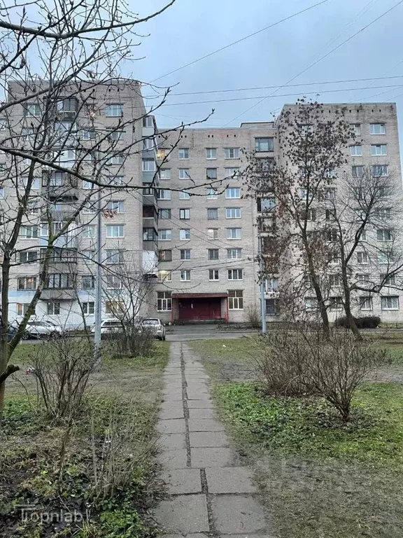 Комната Санкт-Петербург ул. Пионерстроя, 29 (12.3 м) - Фото 1