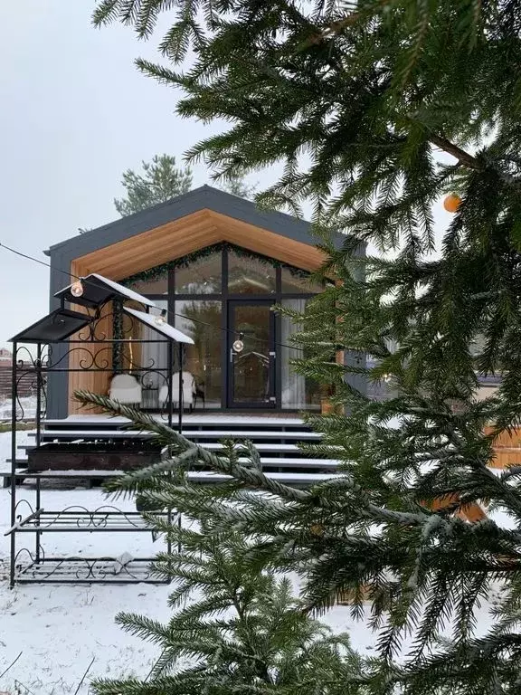 Дом в Московская область, Серпухов городской округ, д. Петрухино 14Б ... - Фото 1