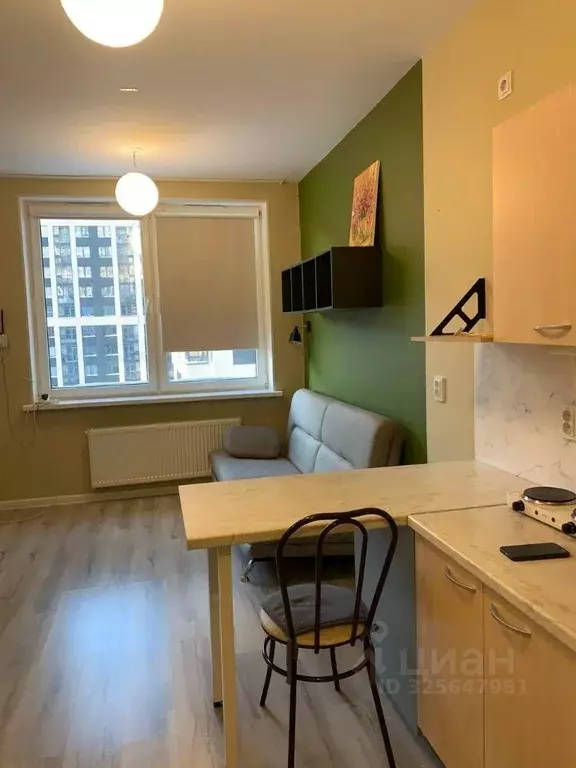 Студия Ленинградская область, Всеволожский район, пос. Бугры ул. ... - Фото 1