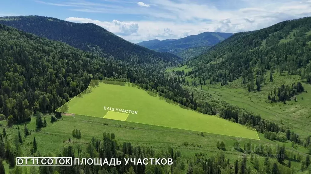 Участок в Алтай, Чемальский район, Элекмонарское с/пос  (16.0 сот.) - Фото 2