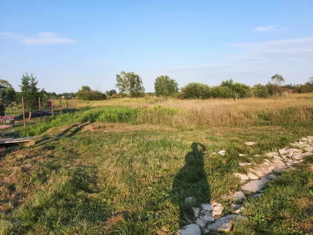 Участок в Новгородская область, Новгородский район, Ермолинское с/пос, ... - Фото 2