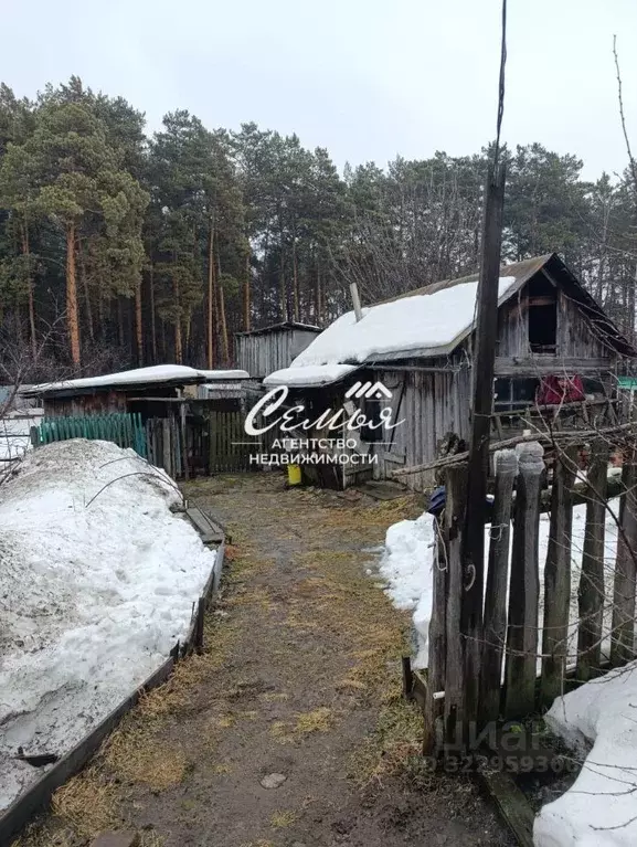 Дом в Тюменская область, Заводоуковск Северная ул. (42 м) - Фото 2