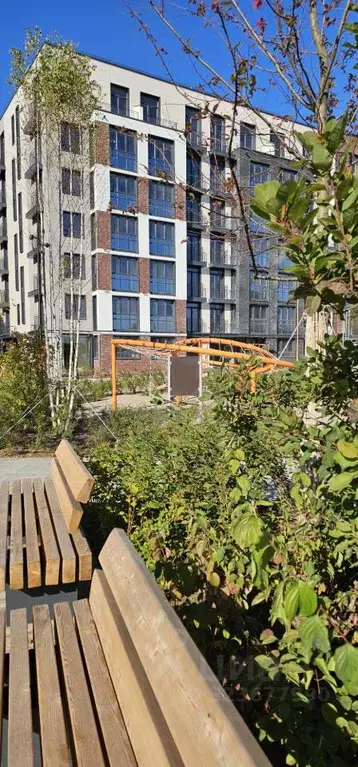 2-к кв. Калининградская область, Гурьевский муниципальный округ, пос. ... - Фото 2