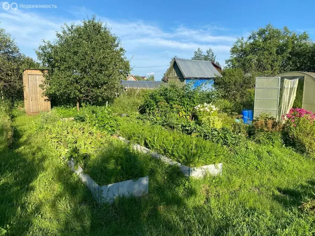 Участок в Ермолинское сельское поселение, деревня Ляпино, Тихая улица ... - Фото 1