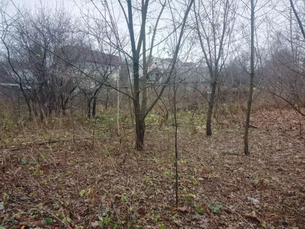 Участок в Московская область, Мытищи пер. 3-й Ленинский (935.0 сот.) - Фото 1