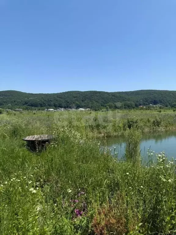 Участок в Адыгея, Майкопский район, Победенское с/пос, пос. Совхозный ... - Фото 1
