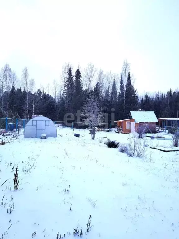 Участок в Ханты-Мансийский АО, Ханты-Мансийск Дорожник СОТ,  (10.0 ... - Фото 0