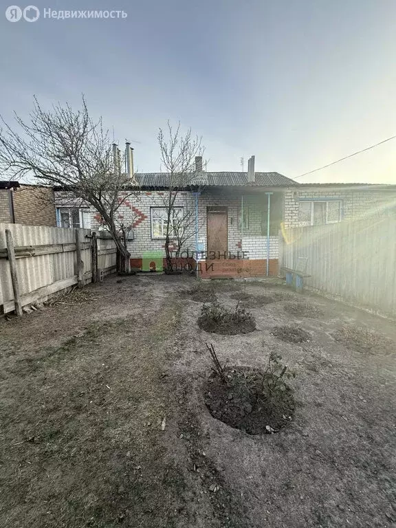 3-комнатная квартира: Белгородская область, городское поселение ... - Фото 2