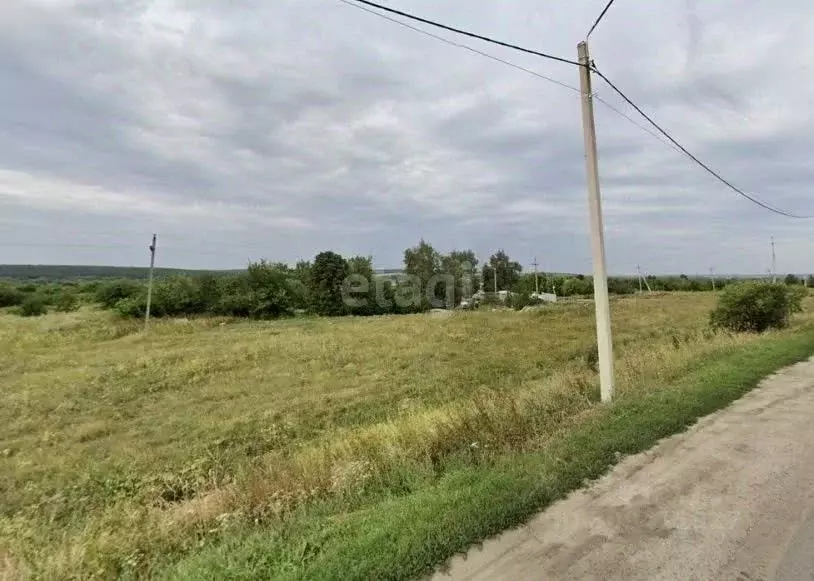 Участок в Воронежская область, Семилукский район, с. Губарево ул. ... - Фото 0