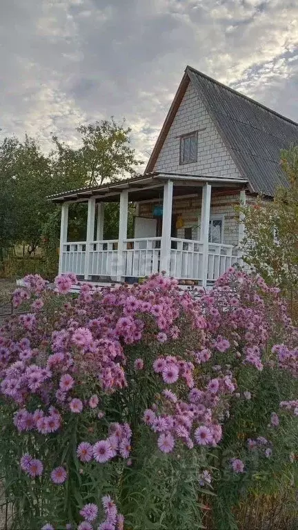 Дом в Курская область, Курский район, Моковский сельсовет, Золотая ... - Фото 0