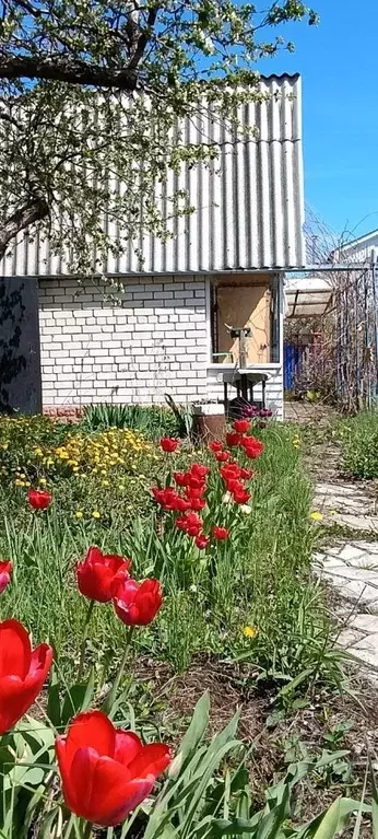 Дом в Ульяновская область, Чердаклинский район, Мирновское с/пос, ... - Фото 1