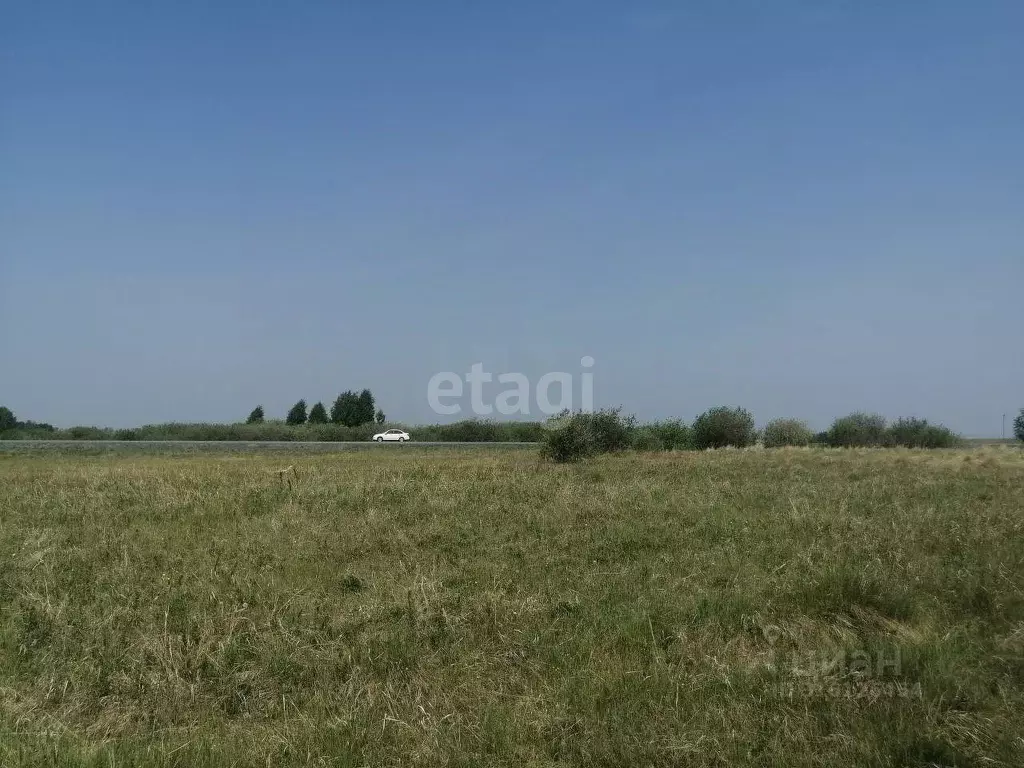 Участок в Челябинская область, с. Кунашак ул. Дружбы (12.6 сот.) - Фото 1