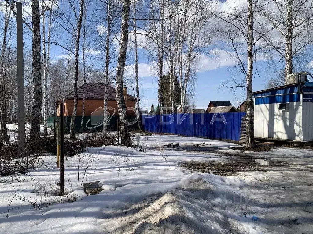 Участок в Тюменская область, Тюмень Олимпиец садовое товарищество, ул. ... - Фото 2