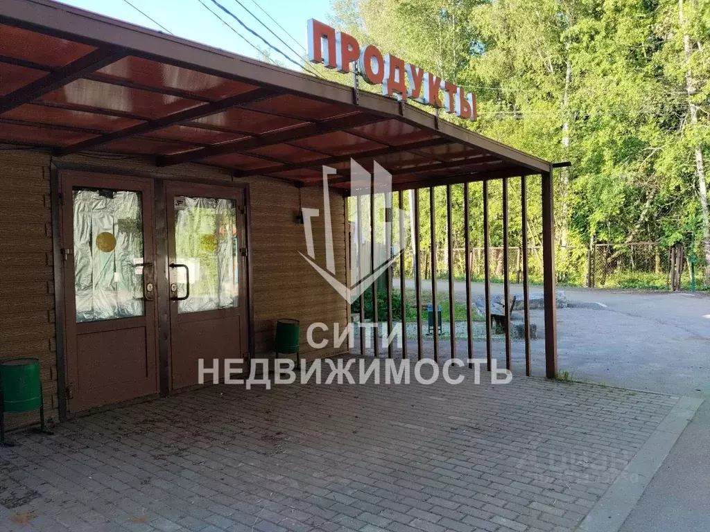 Дом в Московская область, Подольск городской округ, Василек СНТ 31 (49 ... - Фото 2