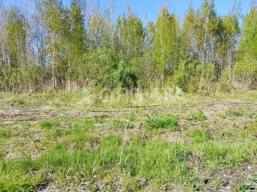 Участок в Тюменская область, Нижнетавдинский район, Лесная сказка СНТ ... - Фото 0