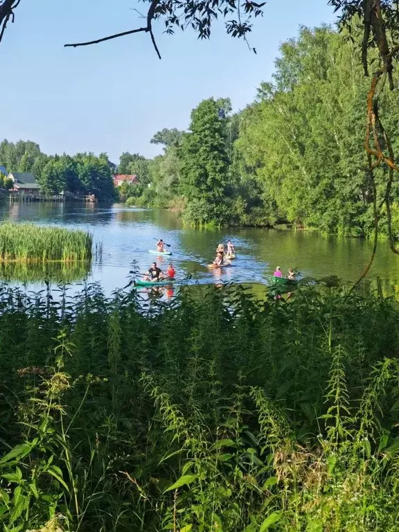 Участок в Московская область, Раменский муниципальный округ, ... - Фото 1