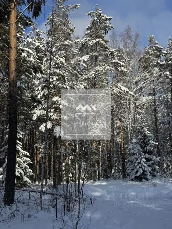 Участок в Ленинградская область, Всеволожский район, Юкковское с/пос, ... - Фото 1