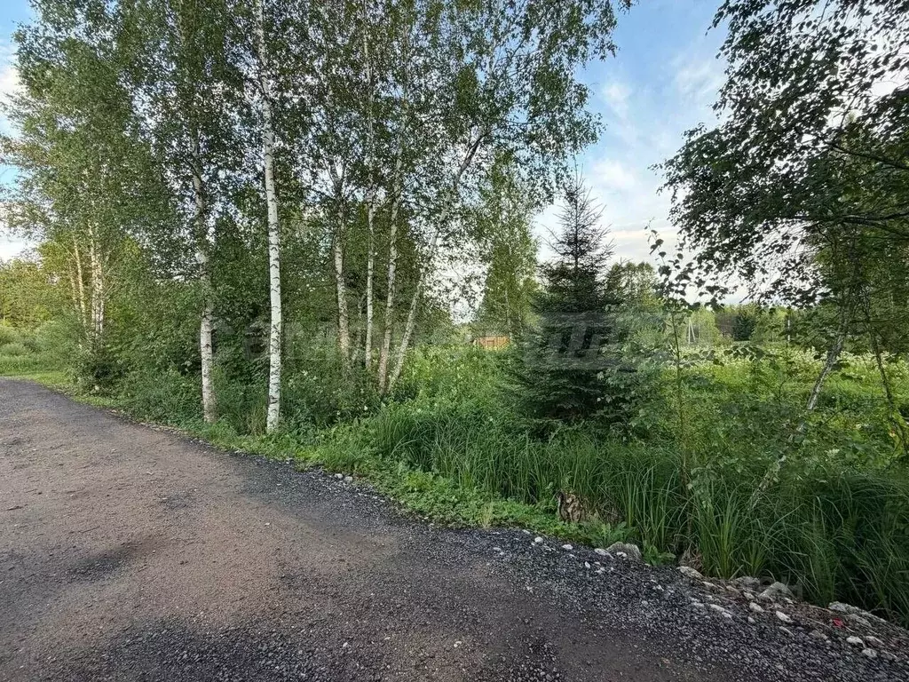 Участок в Москва Мачихино СНТ, 111 (6.04 сот.) - Фото 1