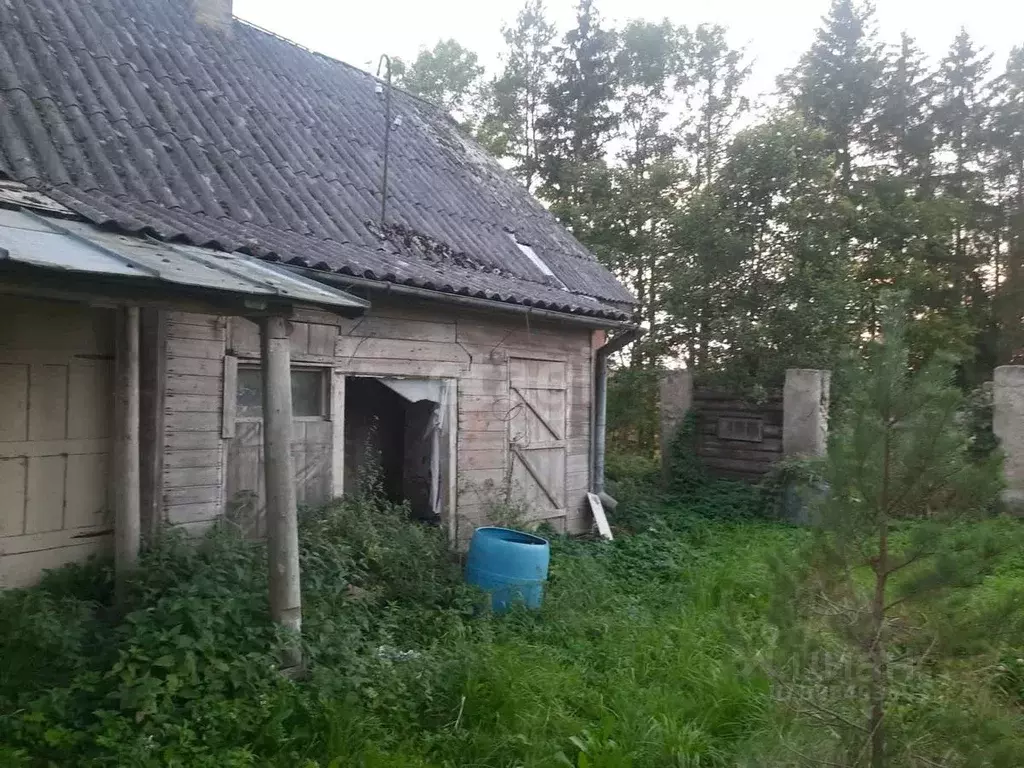 Дом в Псковская область, Пыталовский муниципальный округ, д. Магиново  ... - Фото 1