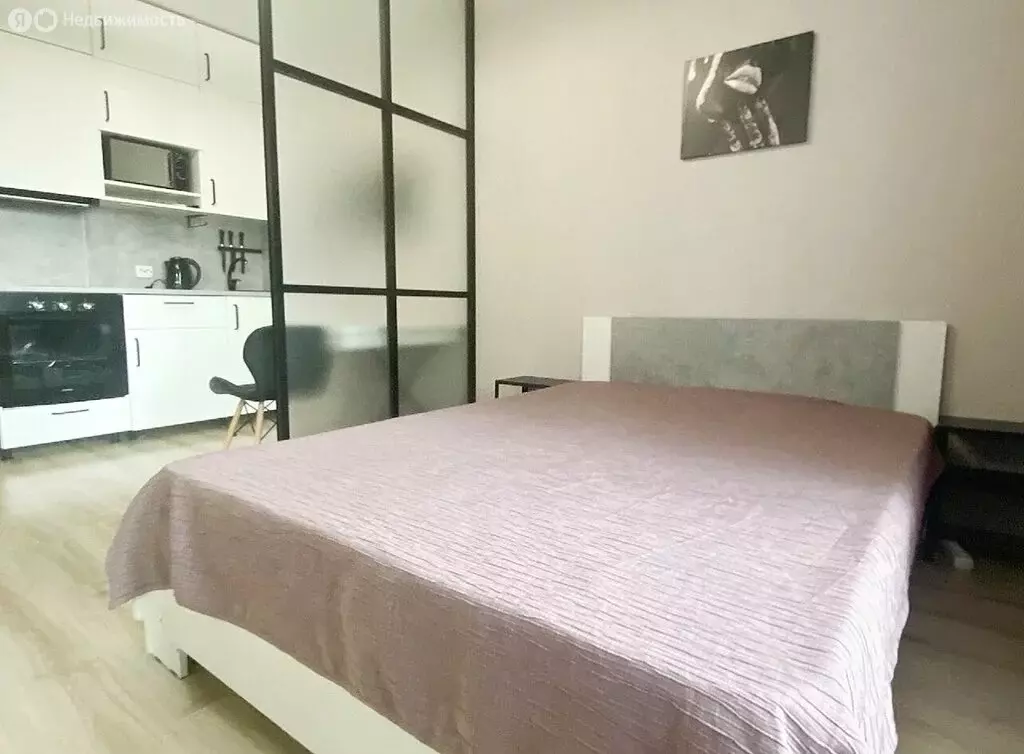 Квартира-студия: Кудрово, Пражская улица, 5 (26.3 м) - Фото 0