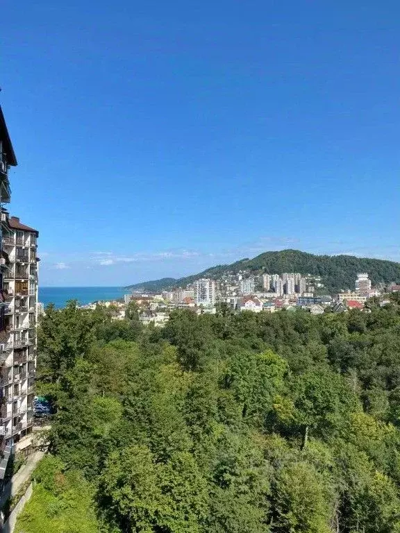 1-к кв. Краснодарский край, Сочи Новый Сочи мкр, ул. Санаторная, 46 ... - Фото 0