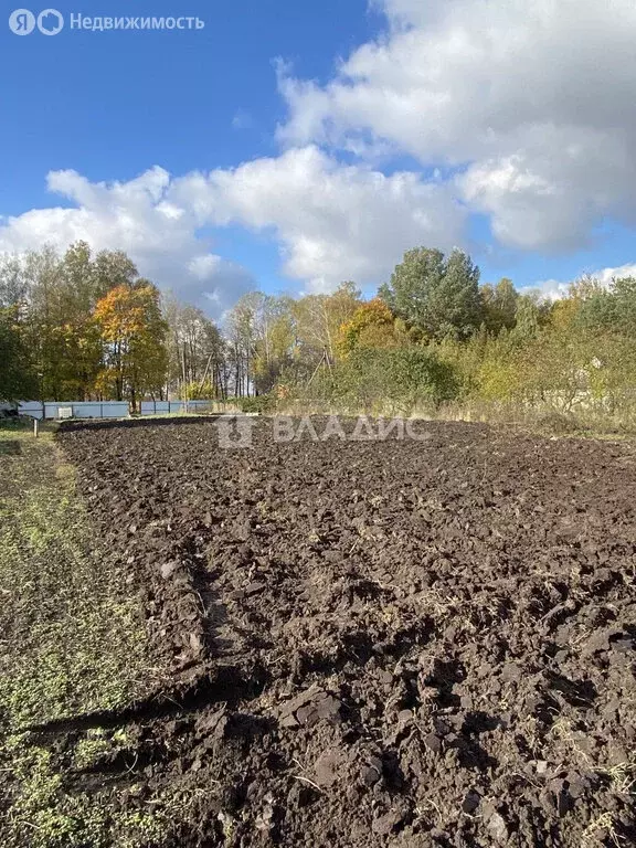 Участок в Выгоничский район, Кокинское сельское поселение, село Кокино ... - Фото 1