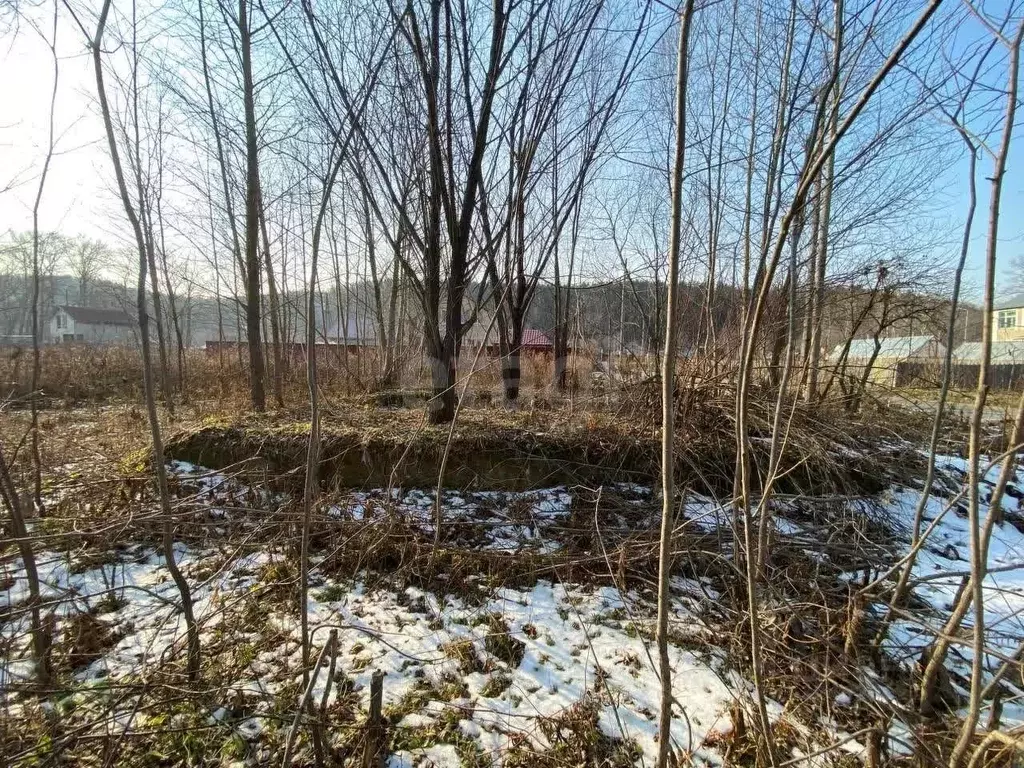 Участок в Сахалинская область, Долинск ул. Вилкова (12.5 сот.) - Фото 1
