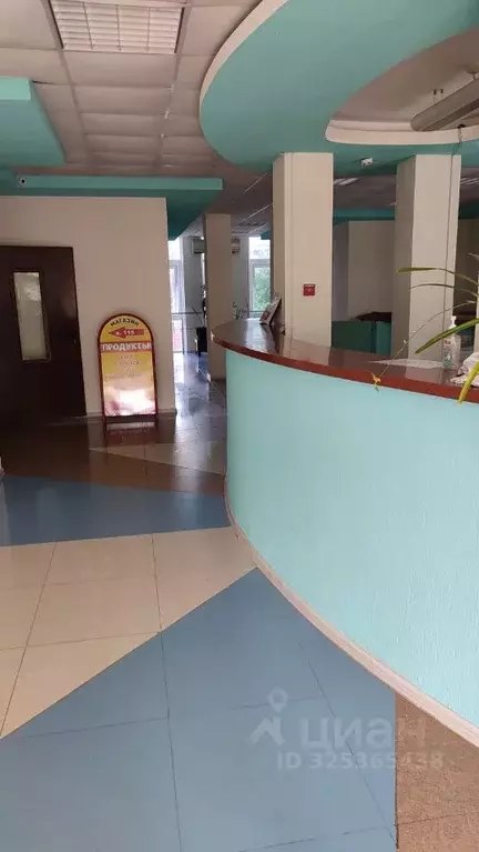 1-к кв. Краснодарский край, Туапсинский муниципальный округ, Джубга ... - Фото 2