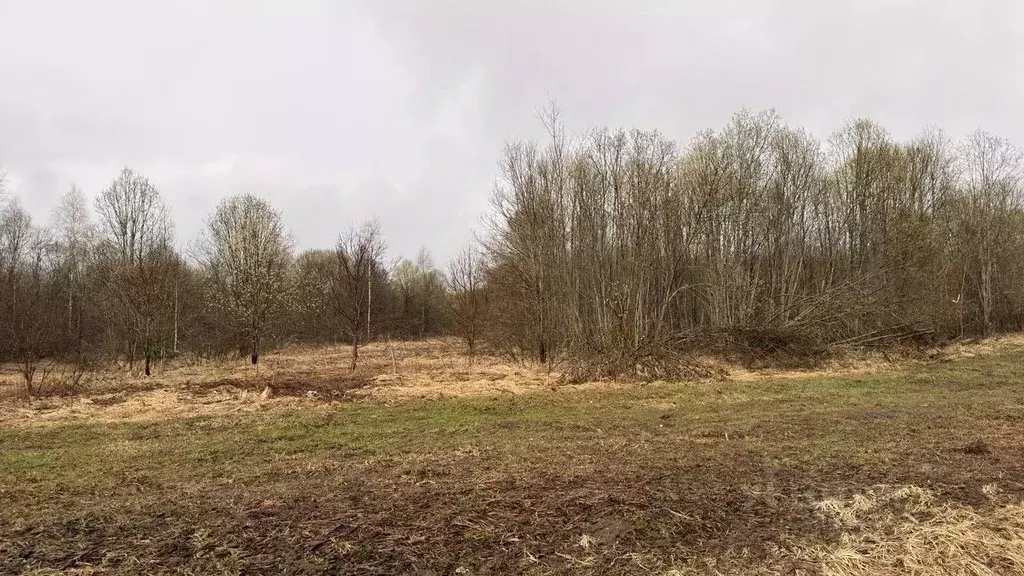 Участок в Московская область, Истра муниципальный округ, д. Шапково 22 ... - Фото 1