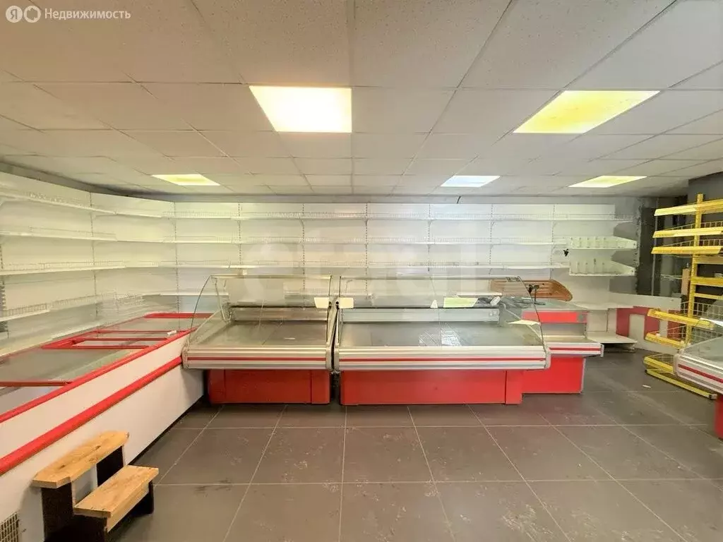 Торговая площадь (54.5 м) - Фото 2